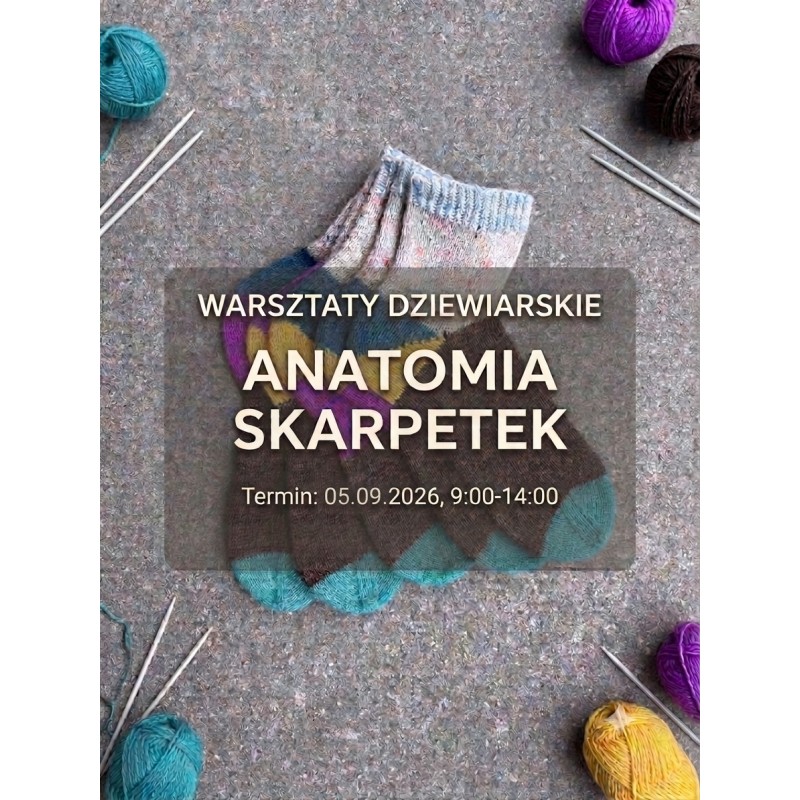 05.09.2026 - Anatomia Skarpetek