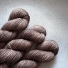 Twisty Merino - Druidzka Kora