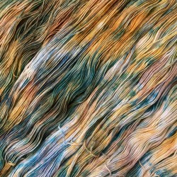 Twisty Merino - Szuwary
