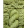 Twisty Merino - Pistachio